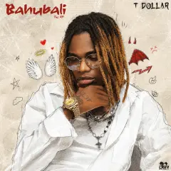 Bahubali cover