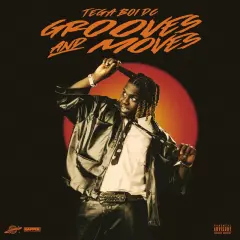 Grooves and Moves cover
