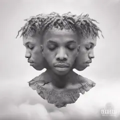 The More the Better cover