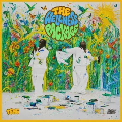 The Wellness Package cover