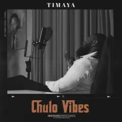Chulo Vibes cover