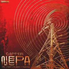 NEPA cover