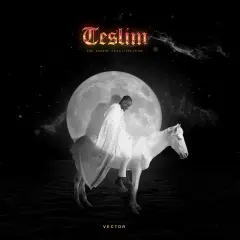 Teslim: The Energy Still Lives in Me cover
