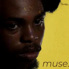 Muse cover
