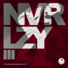 NVR LZY III cover