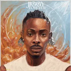 Jiggy Forever cover