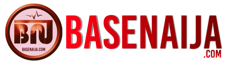 BaseNaija Logo