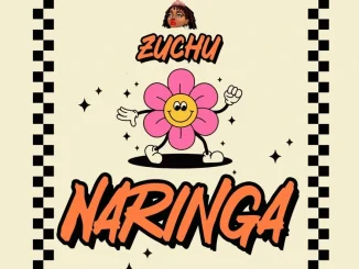 Zuchu - Naringa