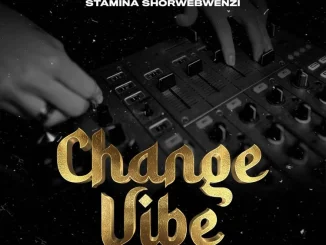 Chino Kidd - Change Vibe ft. Stamina Shorwebwenzi