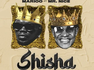 Marioo - Shisha ft. Mr. Nice