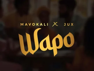 Mavokali - Wapo ft. Jux