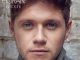 Niall Horan - This Town