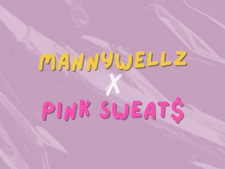Mannywellz - Attention ft. Pink Sweat$