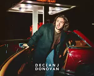 Hungry Heart by Declan J Donovan cover