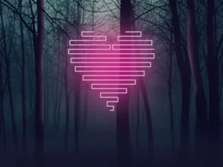Fitz and The Tantrums - Out of My League