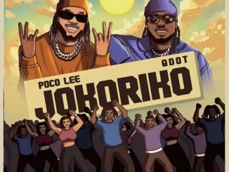 Poco Lee Jokoriko Ft Qdot