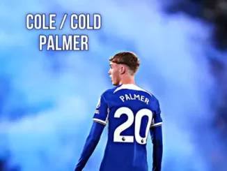 S.4.G.E Cole Palmer Cold Palmer