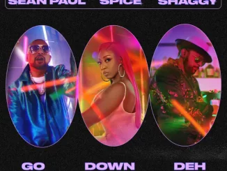 Spice Go Down Deh ft. Sean Paul Shaggy