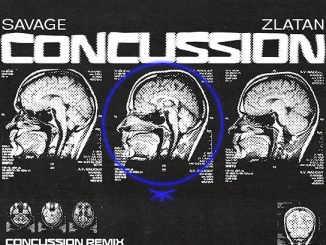 savage concussion remix feat zlatan