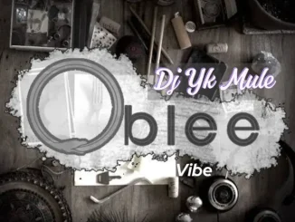 Dj Yk Beats - Oblee Vibe
