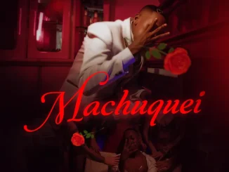 Mc guizinho niazi & Dj Luizinho MPC - Machuquei