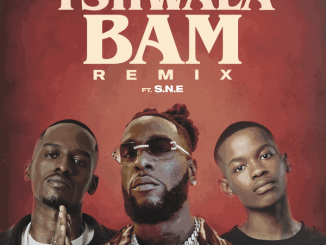 TitoM Burna Boy Yuppe Tshwala Bam Remix ft. S.N.E