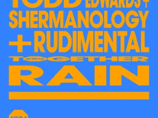 Todd Edwards Shermanology Rudimental Rain