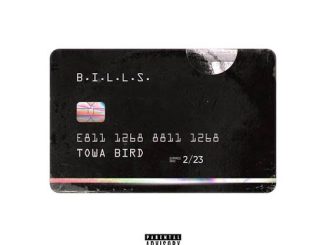 Towa Bird B.I.L.L.S