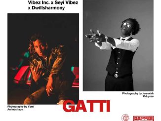 Vibez Inc Gatti ft Seyi Vibez Dwillsharmony