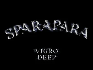 Vigro Deep Sparapara ft. Focalistic Chcco M.J