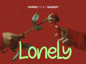 Yammi Lonely ft. Nandy