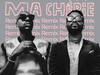 bien ma cherie remix ft fally ipupa