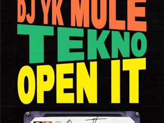 Dj Yk Mule Open It ft. Tekno