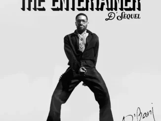 Dbanj The Entertainer DSequel