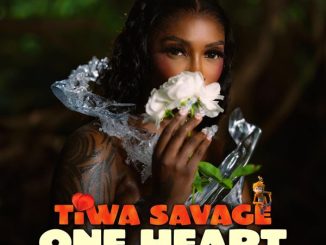 tiwa savage one heart can change the world from the motion picture ozi voice of the forest