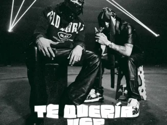 Alemán, Netón Vega - Te Quería Ver