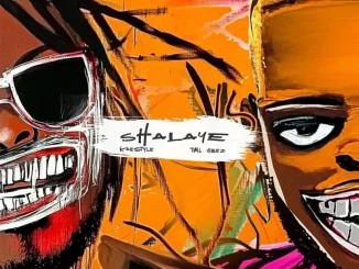 Kaestyle - Shalaye ft. Tml Vibez