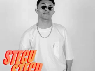 Faris Adam - Stecu Stecu