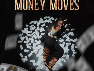 Fido - Money Moves