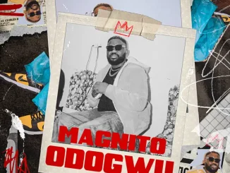 Magnito - Odogwu