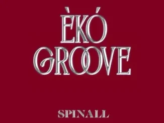 Spinall - ÈKÓ GROOVE ft. Ayinde Bakare