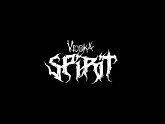 Vicoka - Spirit ft. Wizard Chan