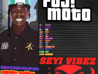 Seyi Vibez - HAPPY SONG