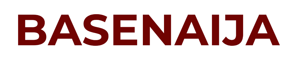 BaseNaija Logo