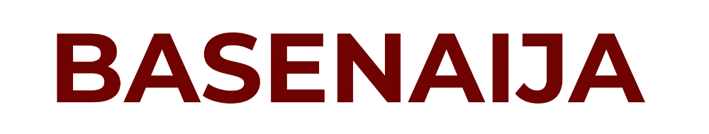 BaseNaija Logo