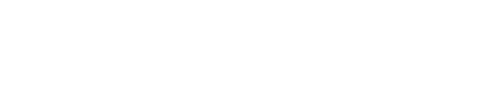 BaseNaija Logo