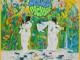 Teni - The Wellness Package