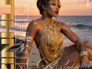 DJ Zinhle - Terror ft. DJ Cliad