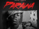 Deejay J Masta - Parawa
