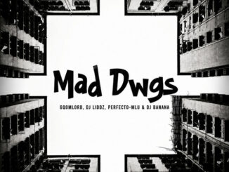 GqoMLorD - Mad Dwgs ft. DJ Liddz, PERFECTO-MLU, Dj Banana